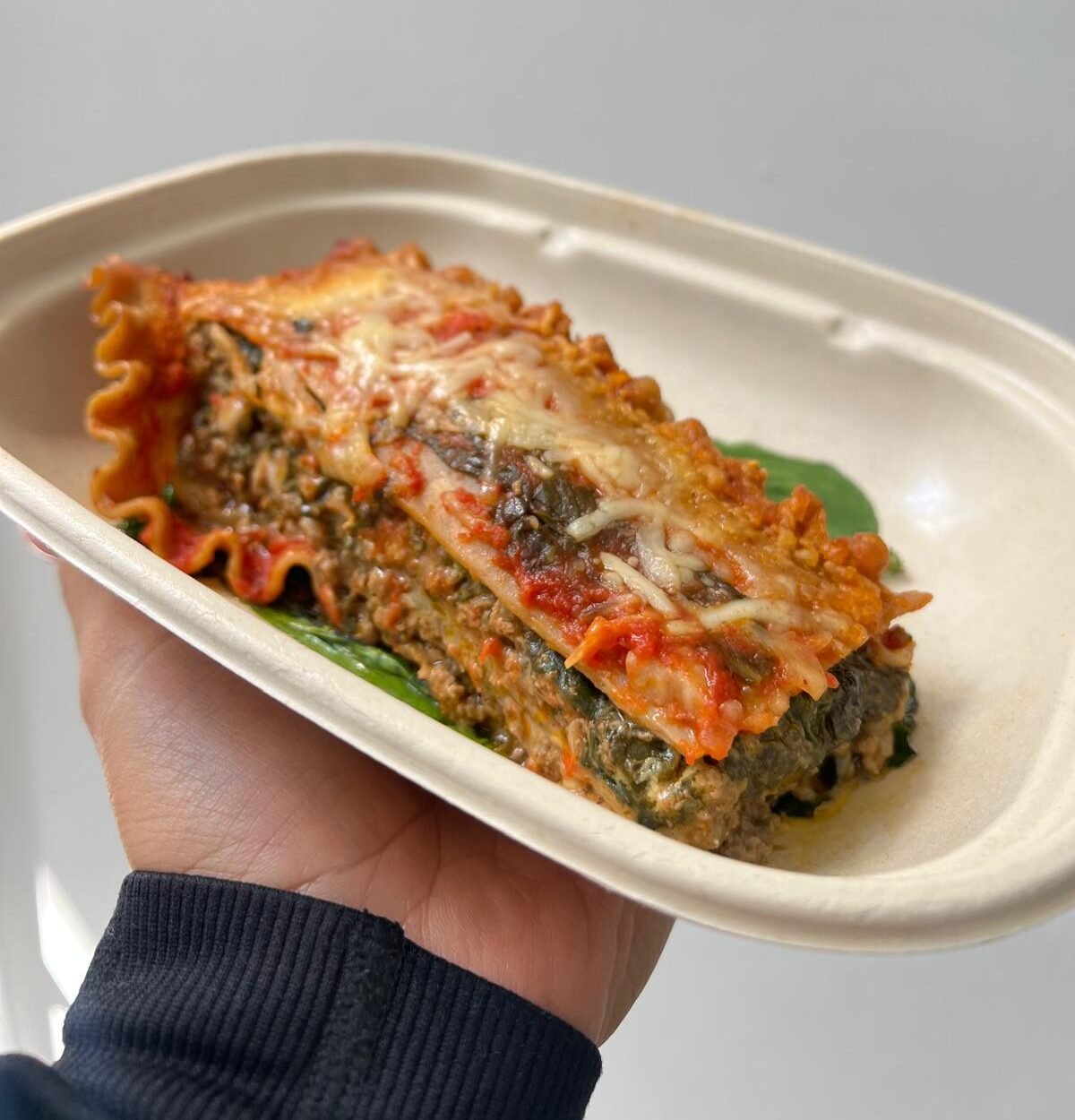 Weight Low Carbs and High Protein: Lunch and Dinner (10 Meals)